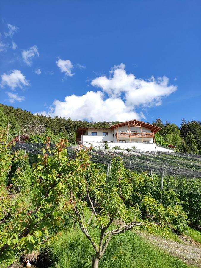 Apartament Pruensterhof Schenna Zewnętrze zdjęcie