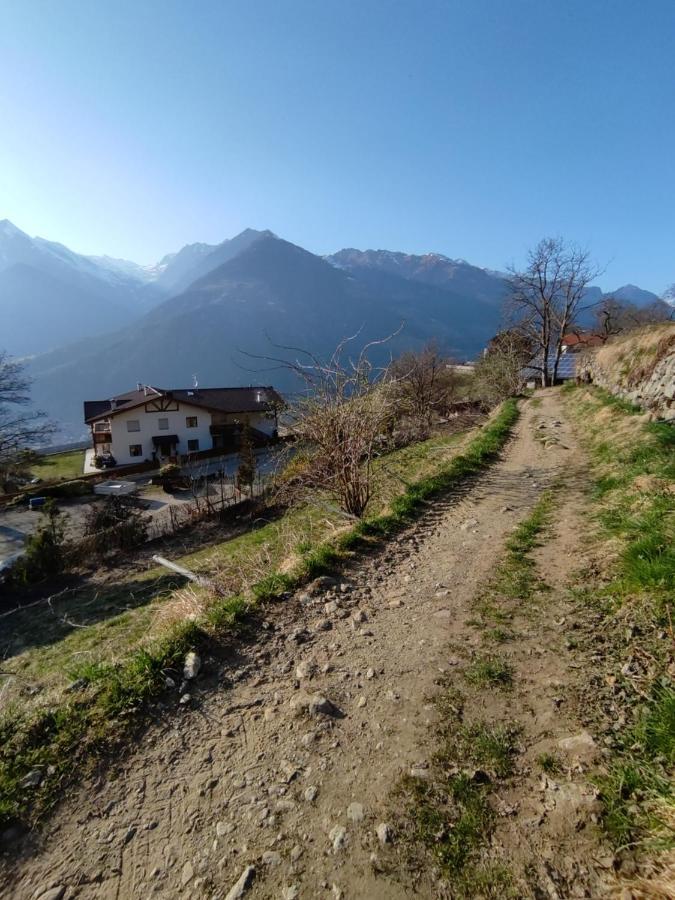 Apartament Pruensterhof Schenna Zewnętrze zdjęcie