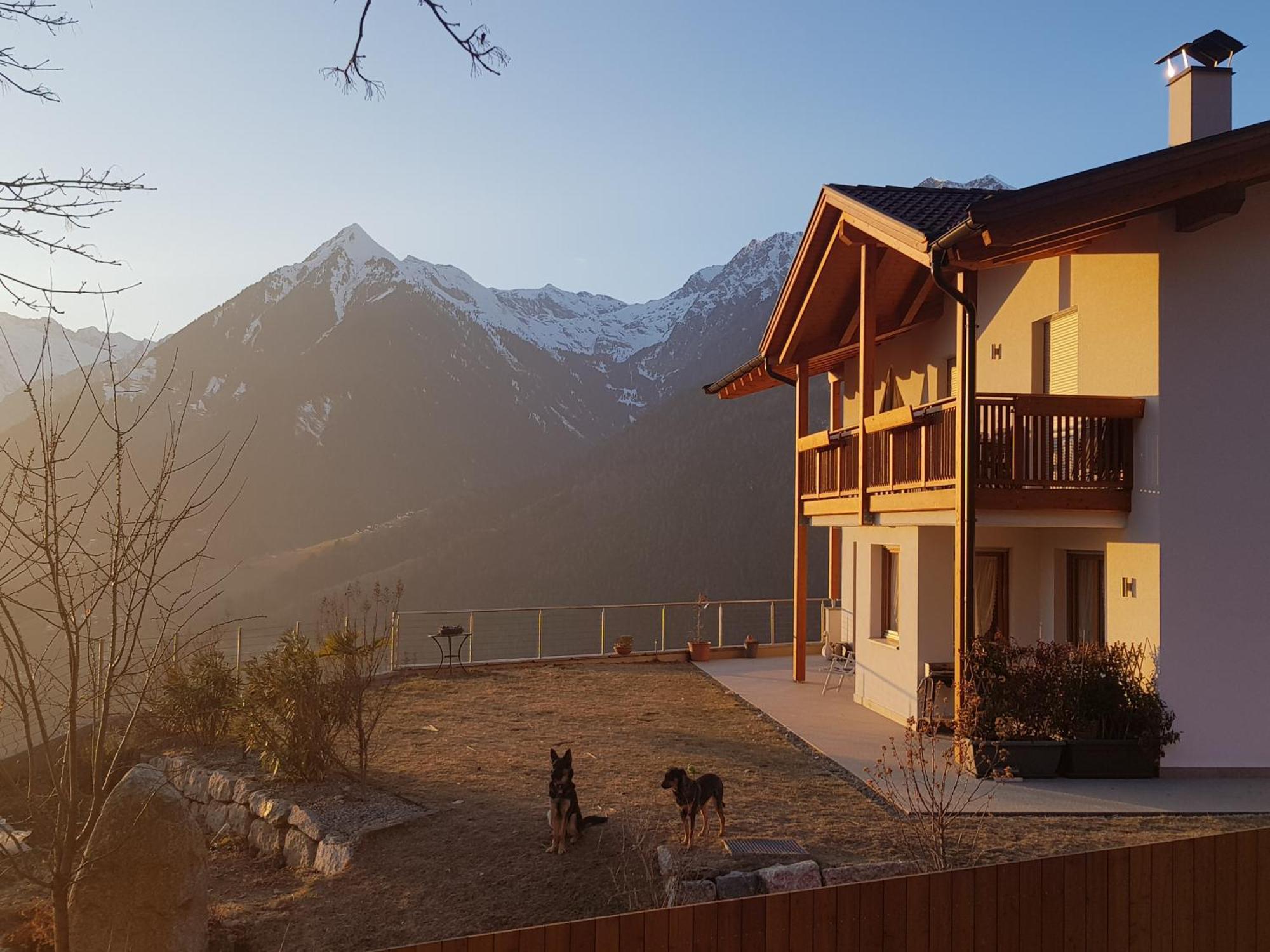 Apartament Pruensterhof Schenna Zewnętrze zdjęcie