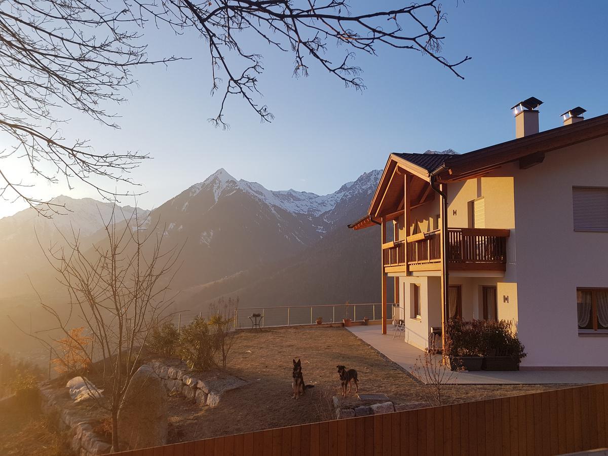 Apartament Pruensterhof Schenna Zewnętrze zdjęcie